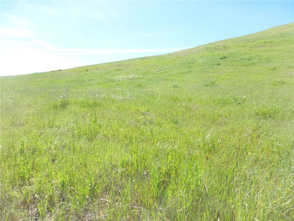 0 Douglas Road San Miguel, CA 93451 - Photo 43 of 51