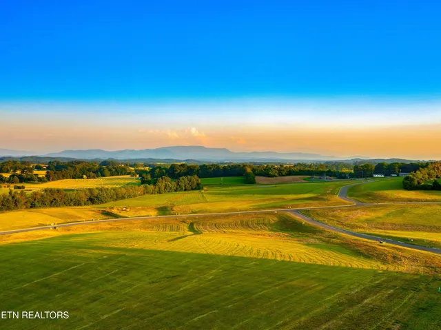 $99,900 | Lot 76 Meadow Rose Drive, White Pine, TN 37890