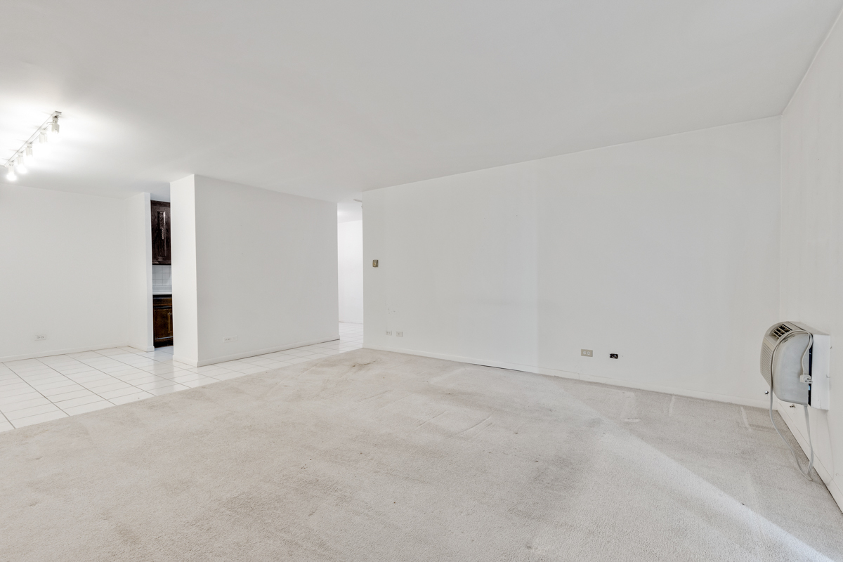 16 East Old Willow Road, Unit 202S Prospect Heights, IL 60070 - Photo 10 of 25