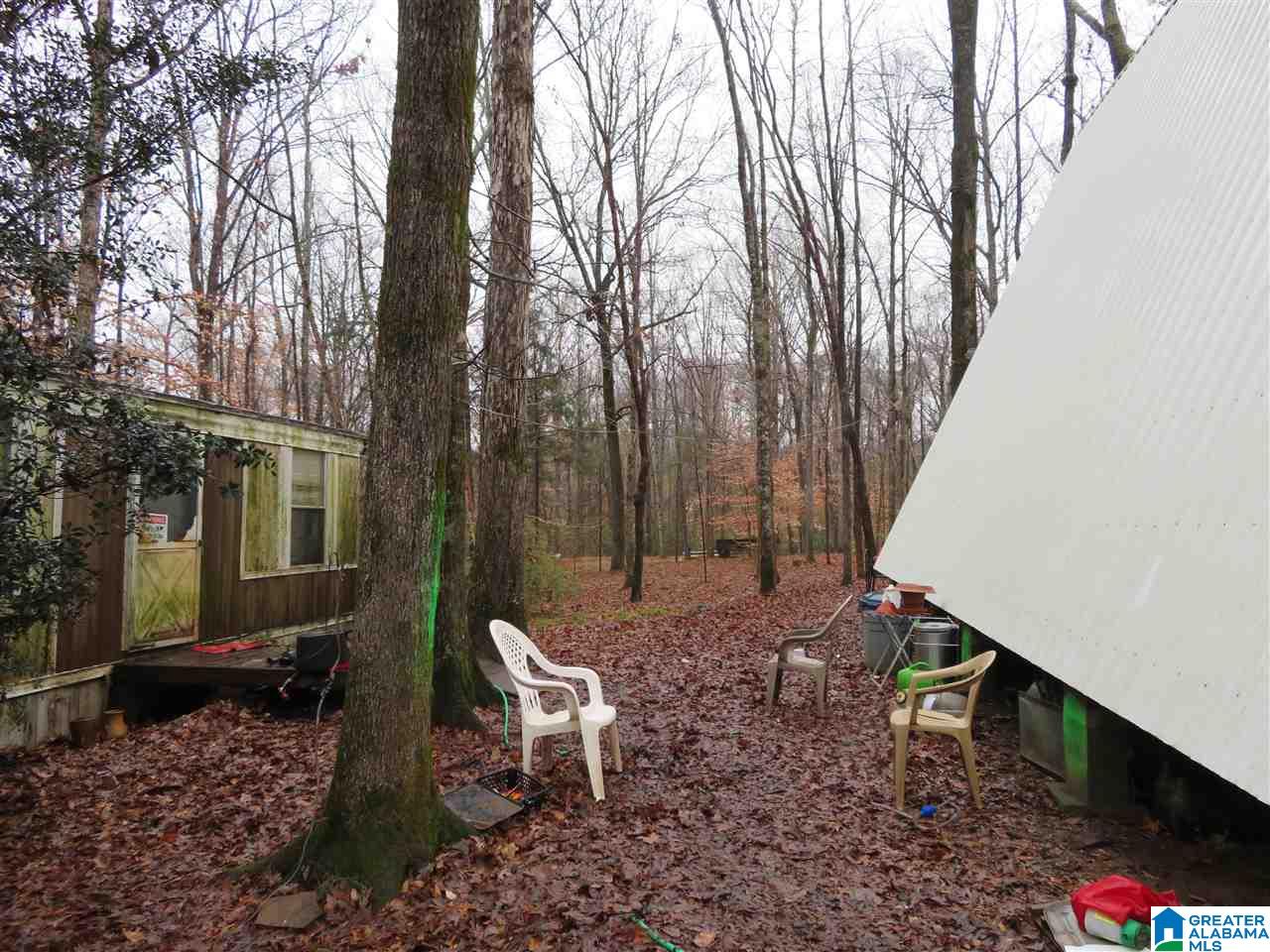 138 Cedar Grove Road West Blocton, AL 35184 - Photo 8 of 44