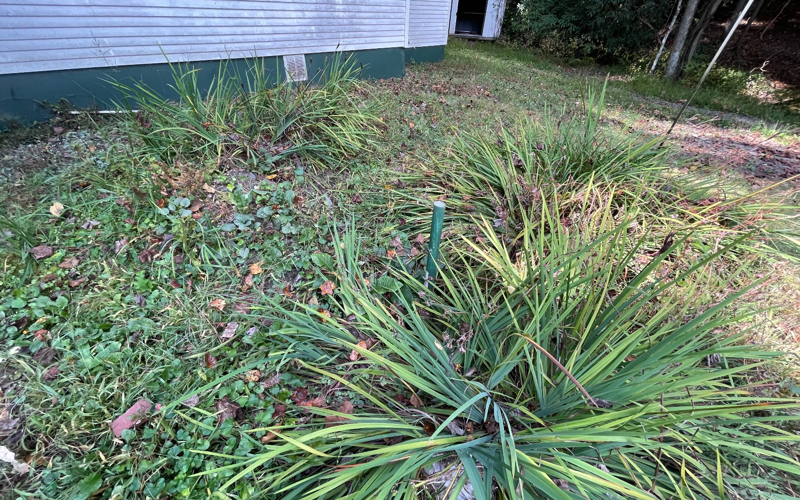 613 Farner Road Farner, TN 37333 - Photo 13 of 45 a view of a backyard