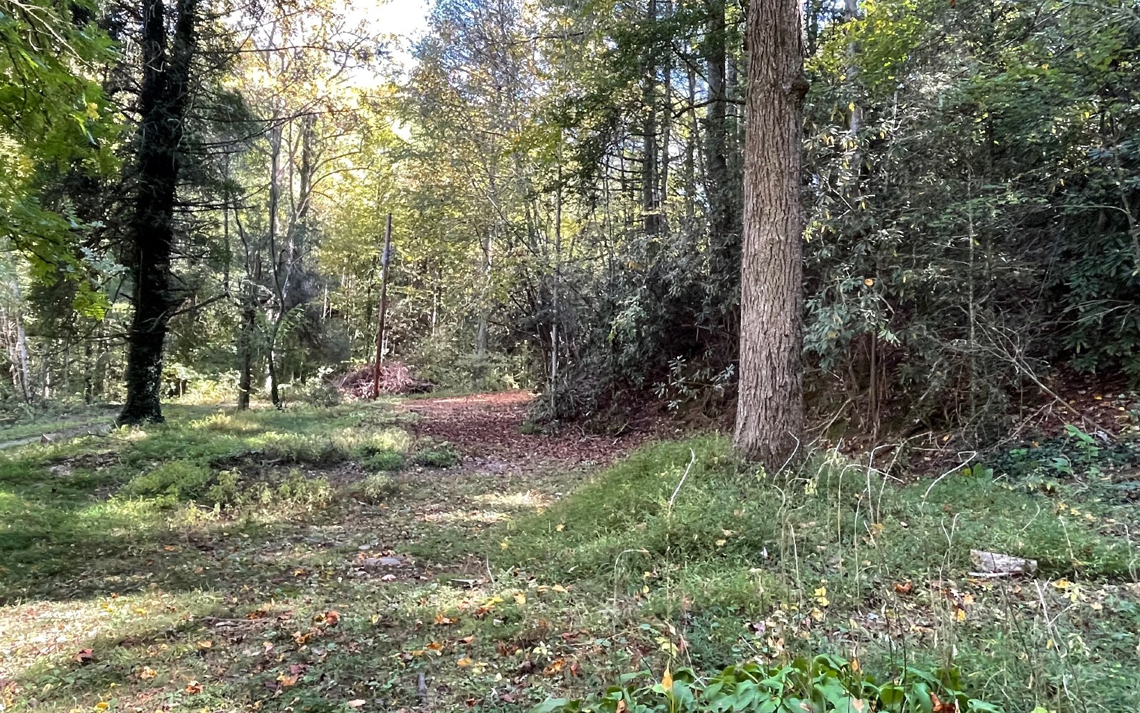 613 Farner Road Farner, TN 37333 - Photo 16 of 45 a view of outdoor space and trees