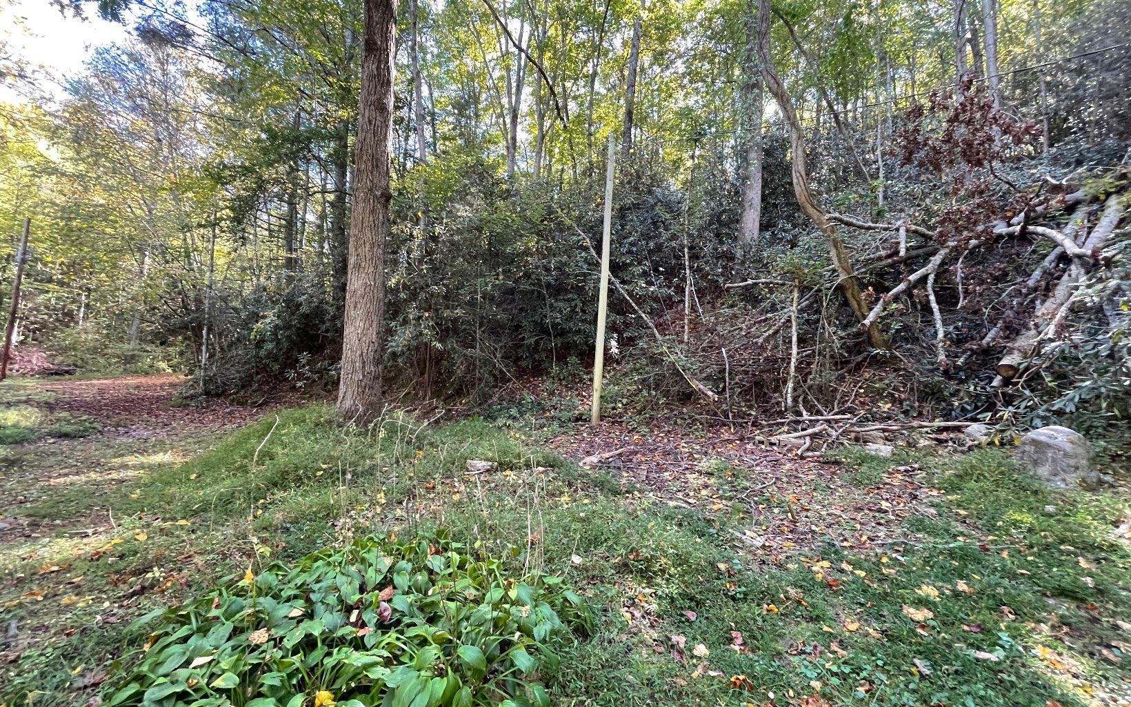 613 Farner Road Farner, TN 37333 - Photo 17 of 45 a view of an outdoor space and trees all around