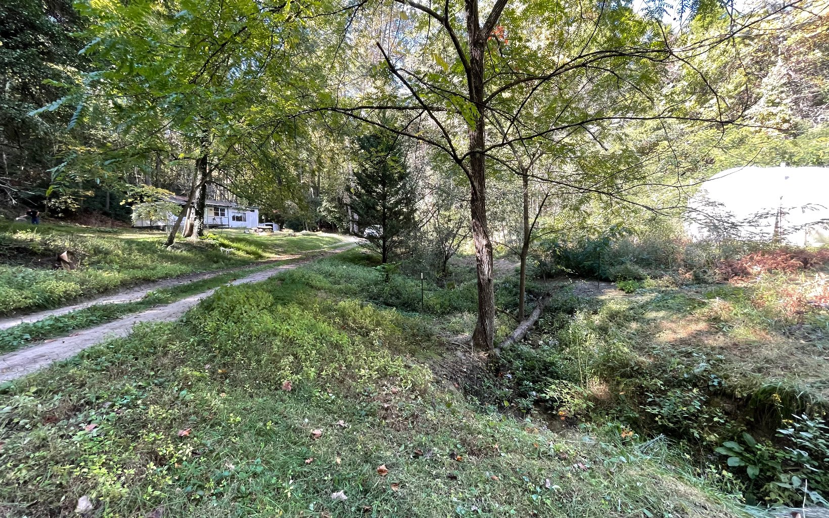 613 Farner Road Farner, TN 37333 - Photo 20 of 45 a view of a park with large trees