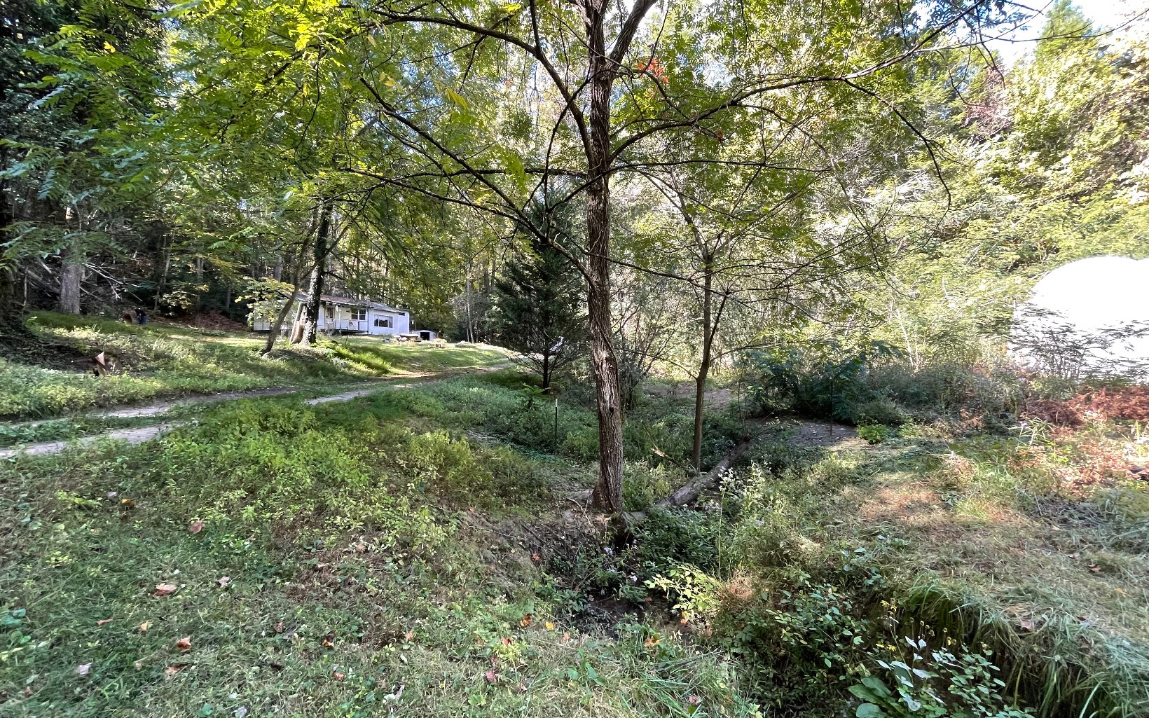 613 Farner Road Farner, TN 37333 - Photo 21 of 45 a view of outdoor space and yard