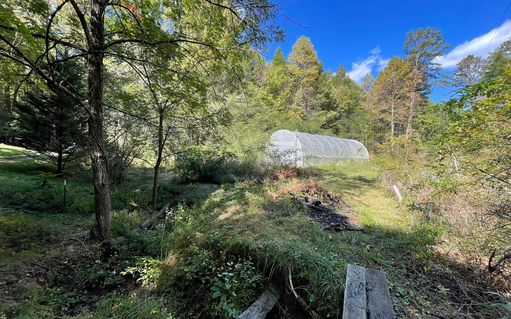 613 Farner Road Farner, TN 37333 - Photo 22 of 45 a view of a bunch of trees and bushes