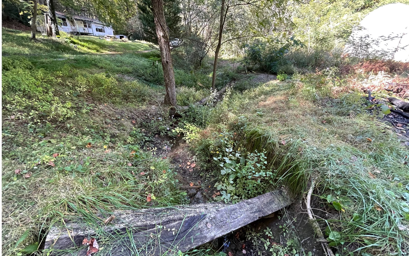 613 Farner Road Farner, TN 37333 - Photo 23 of 45 a view of a yard with plants and large trees