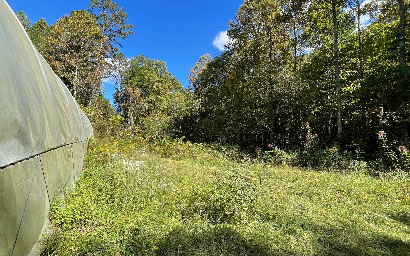 613 Farner Road Farner, TN 37333 - Photo 26 of 45 a view of a yard