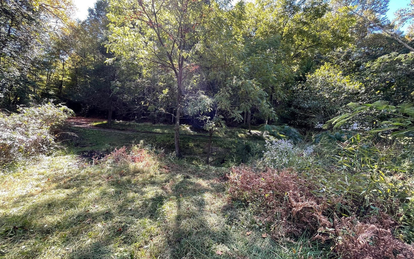 613 Farner Road Farner, TN 37333 - Photo 27 of 45 a view of a lake view with houses in back