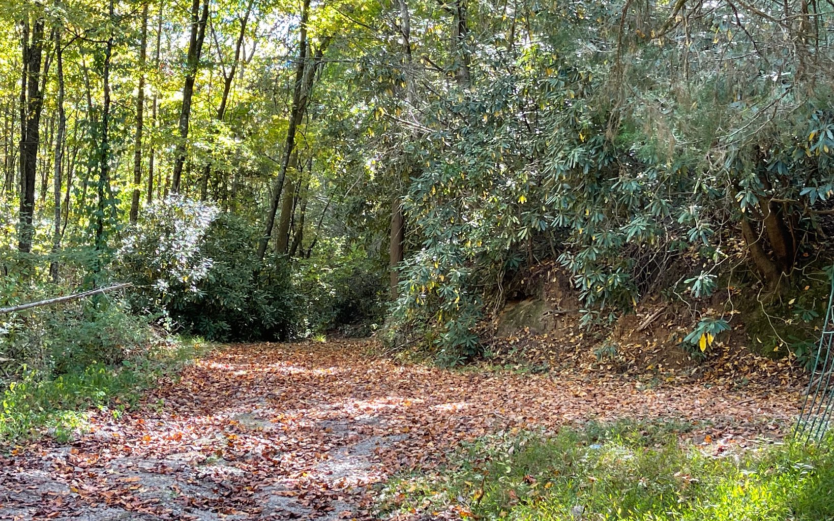 613 Farner Road Farner, TN 37333 - Photo 28 of 45 a view of outdoor space and trees all around
