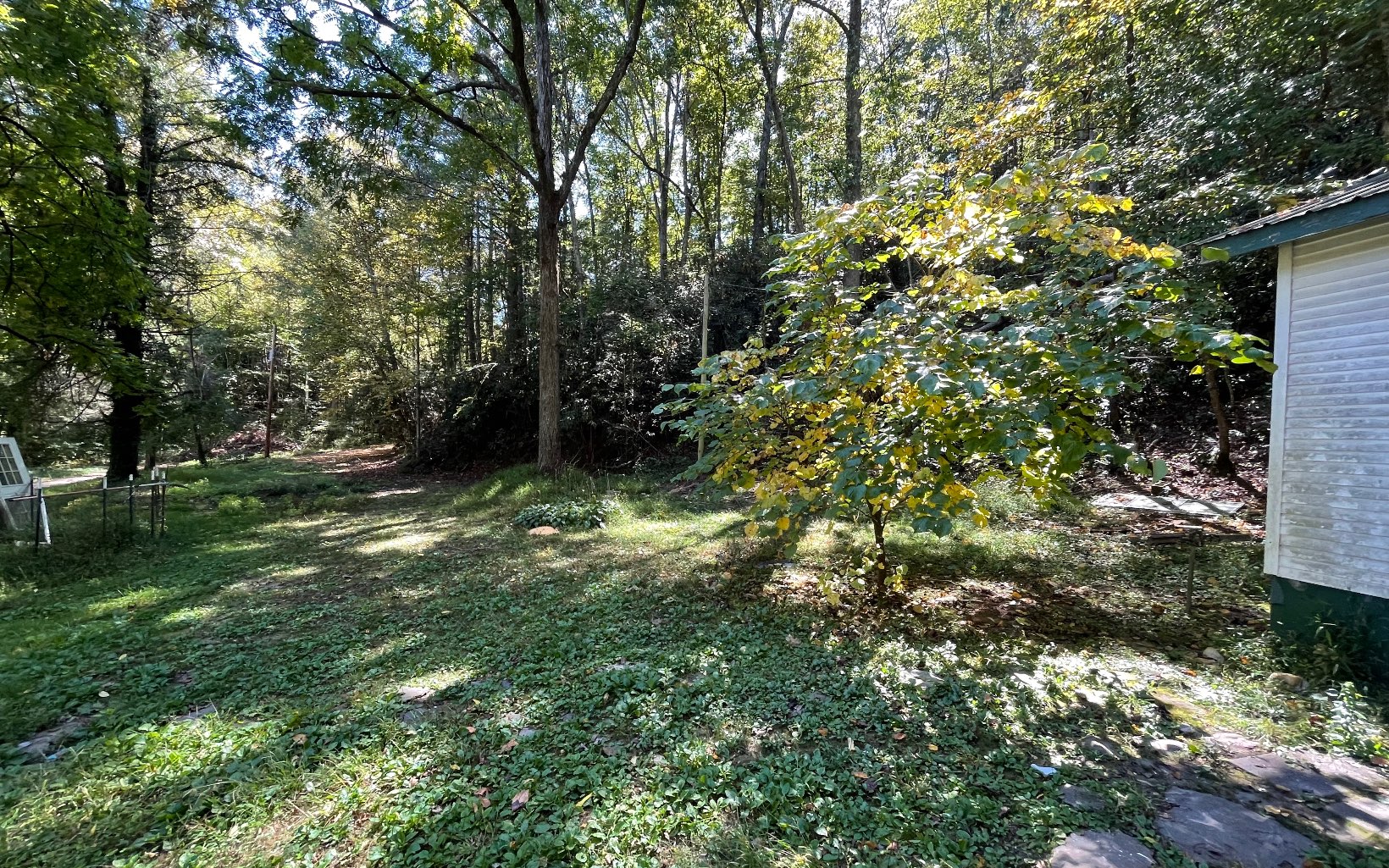 613 Farner Road Farner, TN 37333 - Photo 38 of 45 a big yard with lots of green space and house in the back