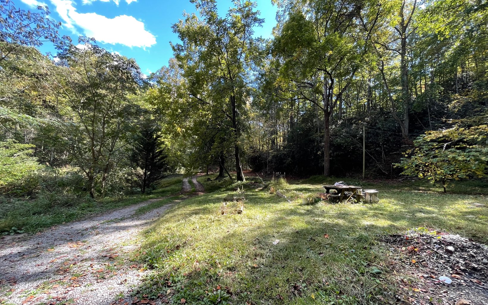 613 Farner Road Farner, TN 37333 - Photo 4 of 45 a backyard of a house with lots of green space