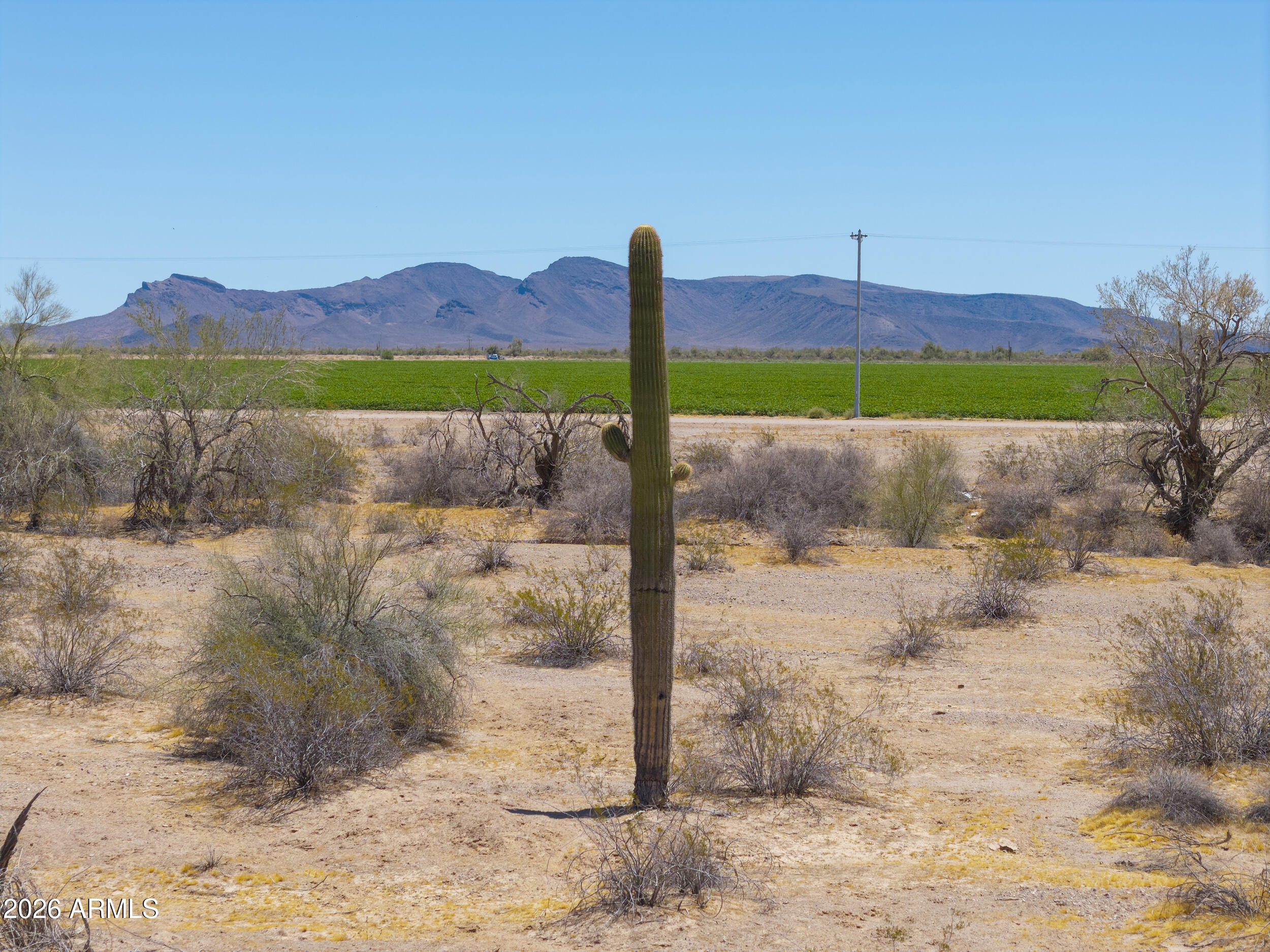 0 West Lahman (approx) Road Dateland, AZ 85333 - Photo 14 of 20 a view of a back yard