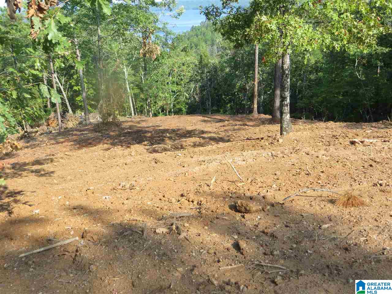 215 Eagle Mountain Road, Unit 4 Rockford, AL 35136 - Photo 3 of 11