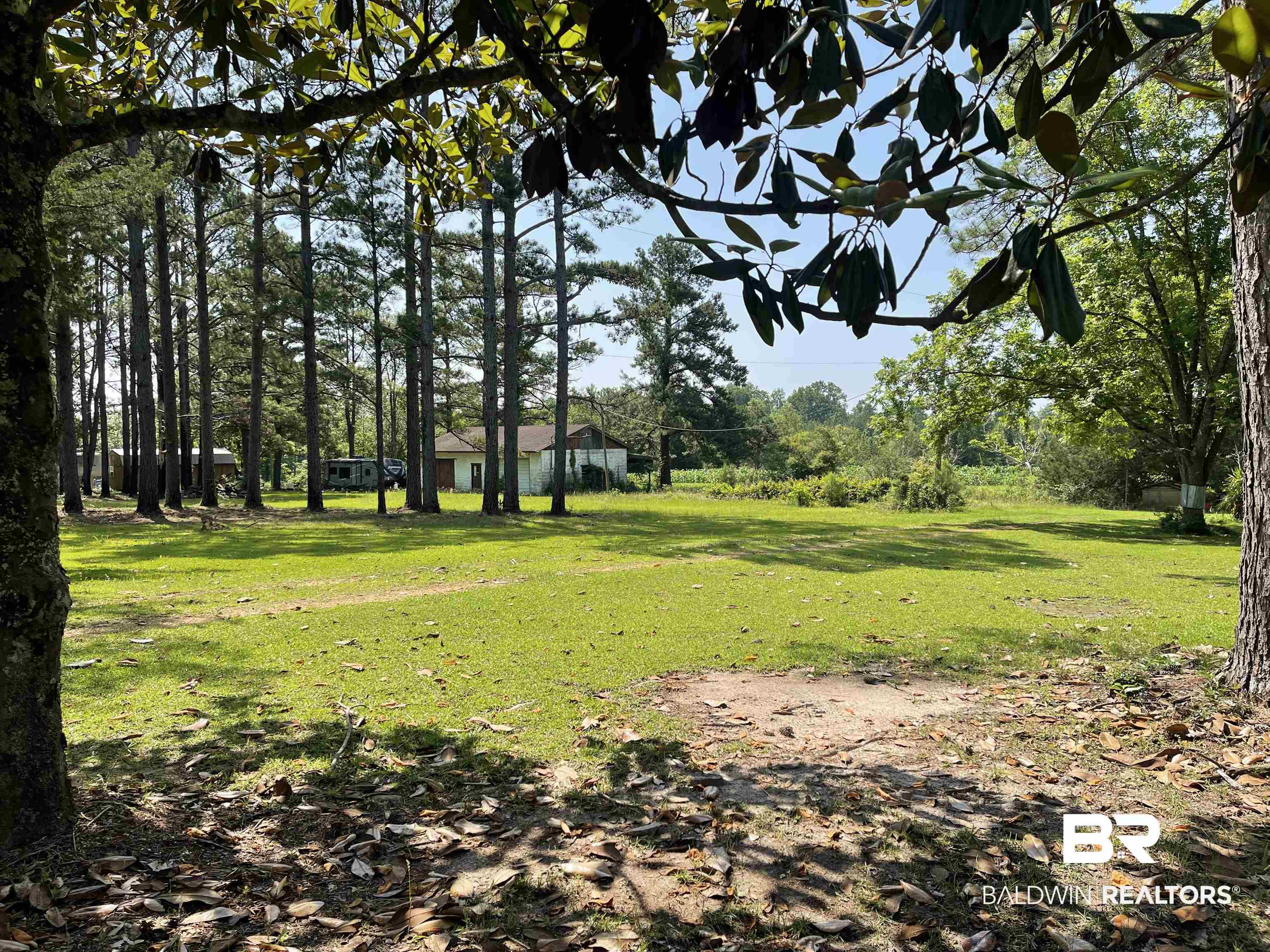 12150 County Road 17 Franklin, AL 36444 - Photo 3 of 23