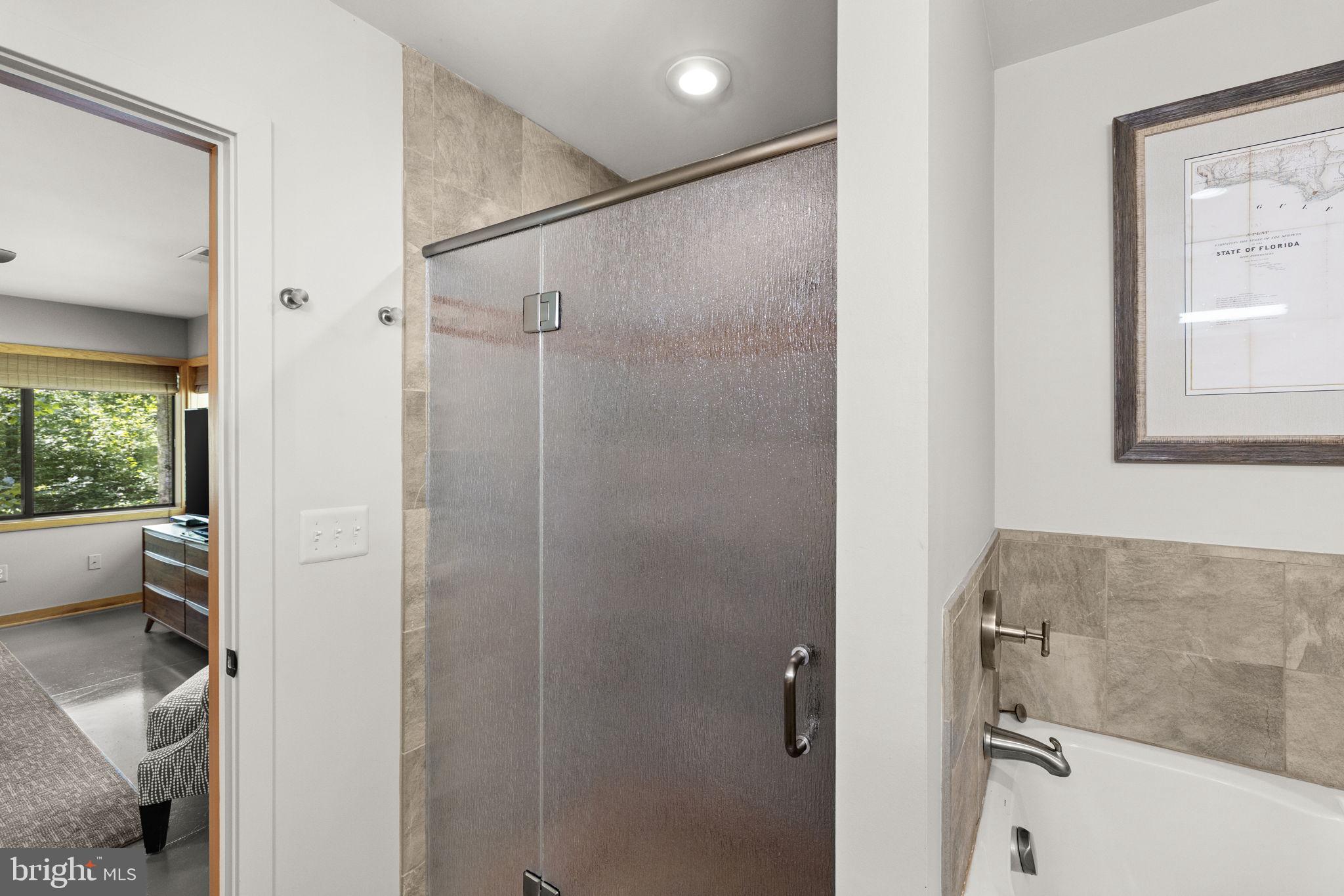 1319 Champe Plain Road Etlan, VA 22719 - Photo 30 of 63 Walk-in Shower