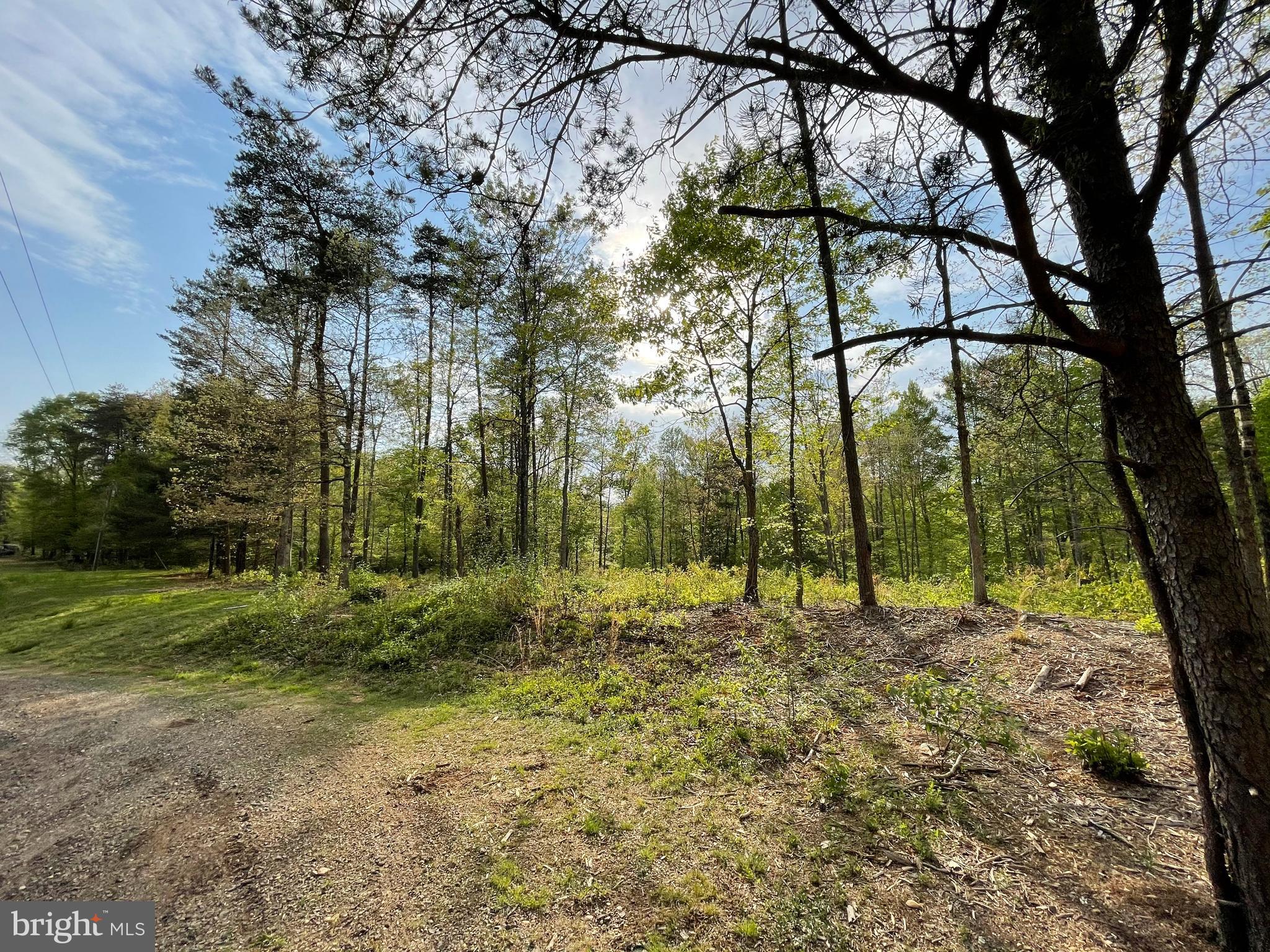 Vermont Road Rhoadesville, VA 22542 - Photo 3 of 9 Gallery Image 3