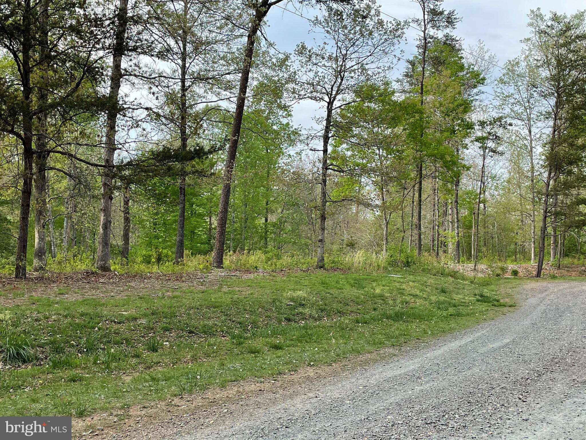 Vermont Road Rhoadesville, VA 22542 - Photo 4 of 9 Gallery Image 4