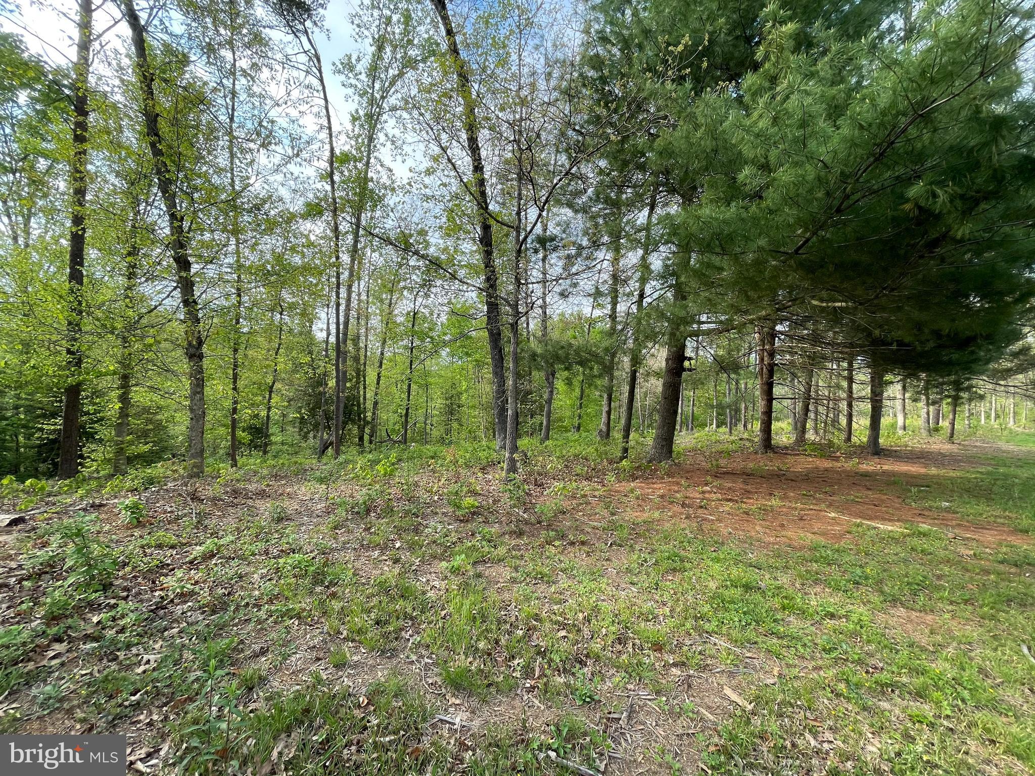 Vermont Road Rhoadesville, VA 22542 - Photo 6 of 9 Gallery Image 6