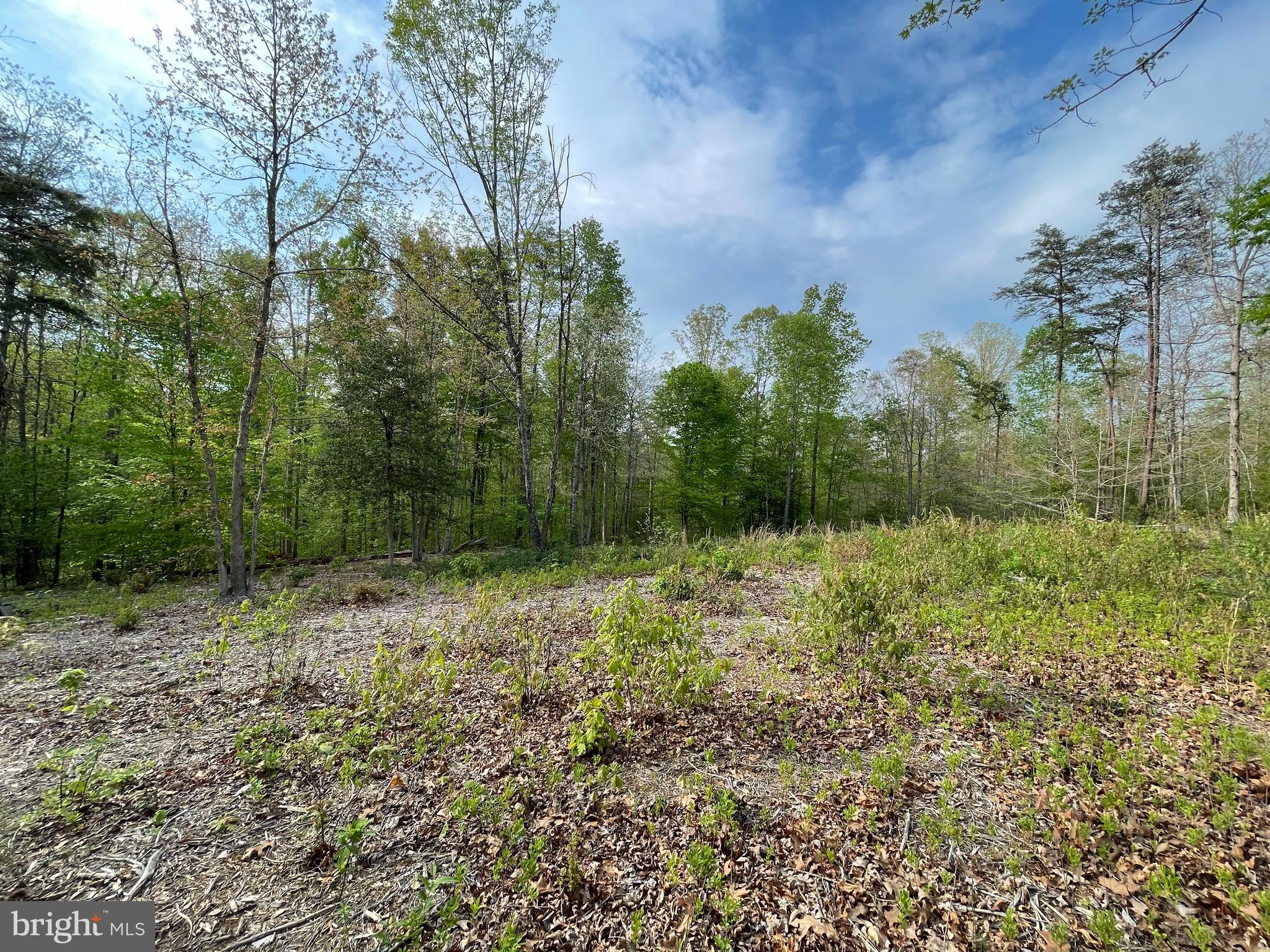 Vermont Road Rhoadesville, VA 22542 - Photo 8 of 9 Gallery Image 8
