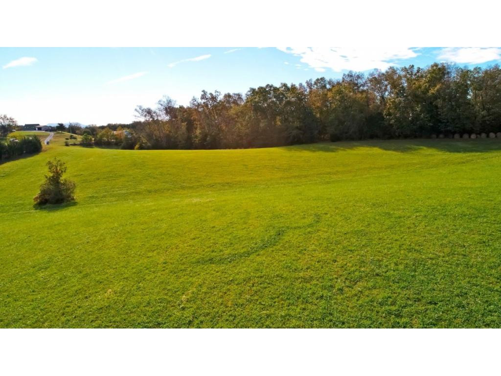 8.48-acr Joe Reed Road Bybee, TN 37713 - Photo 14 of 20 Photo 14