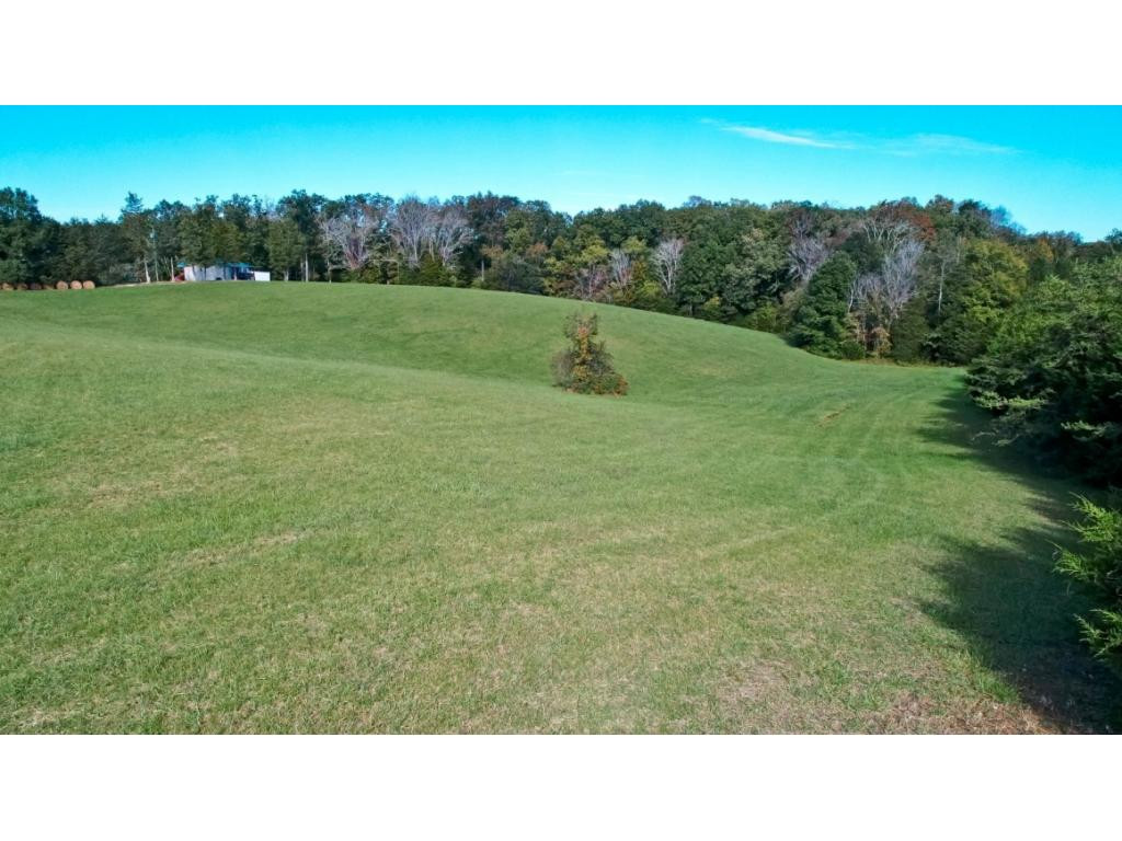 8.48-acr Joe Reed Road Bybee, TN 37713 - Photo 4 of 20 Photo 4