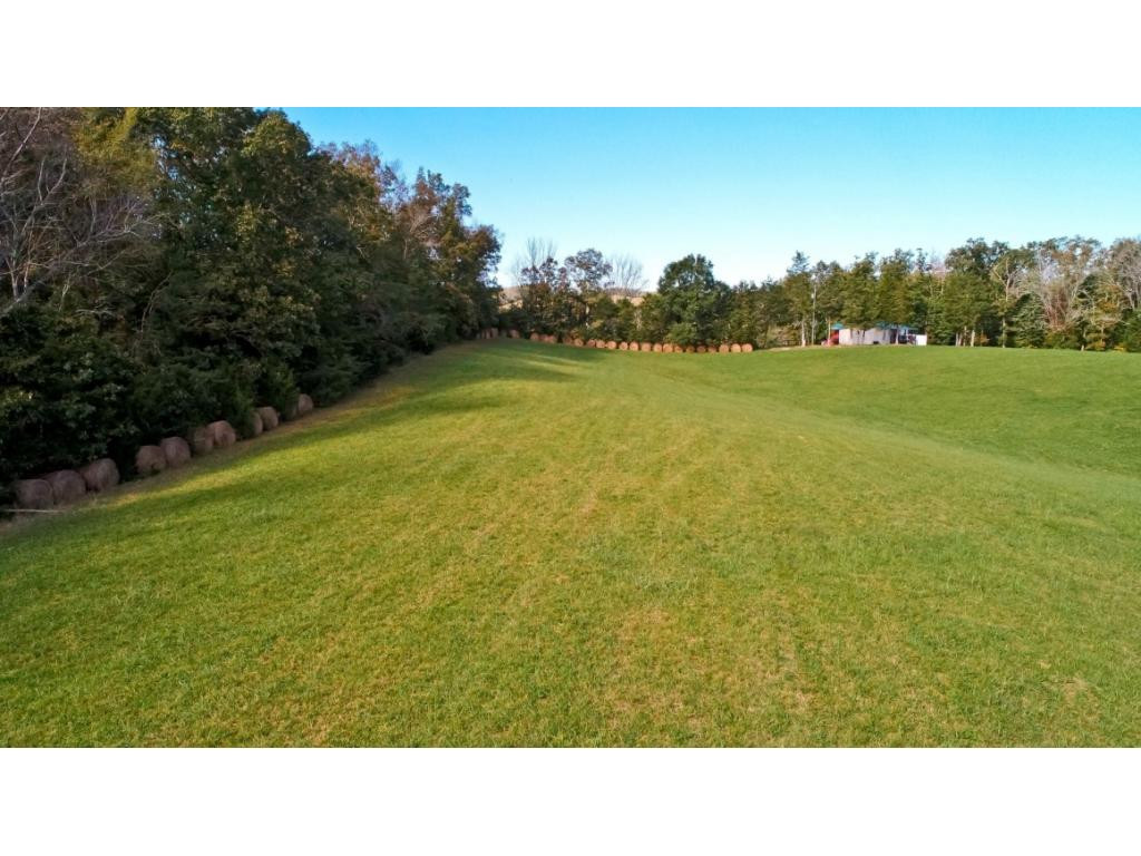 8.48-acr Joe Reed Road Bybee, TN 37713 - Photo 6 of 20 Photo 6