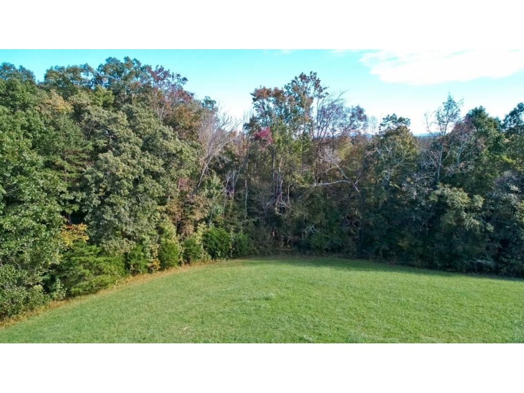 8.48-acr Joe Reed Road Bybee, TN 37713 - Photo 10 of 20 Photo 10