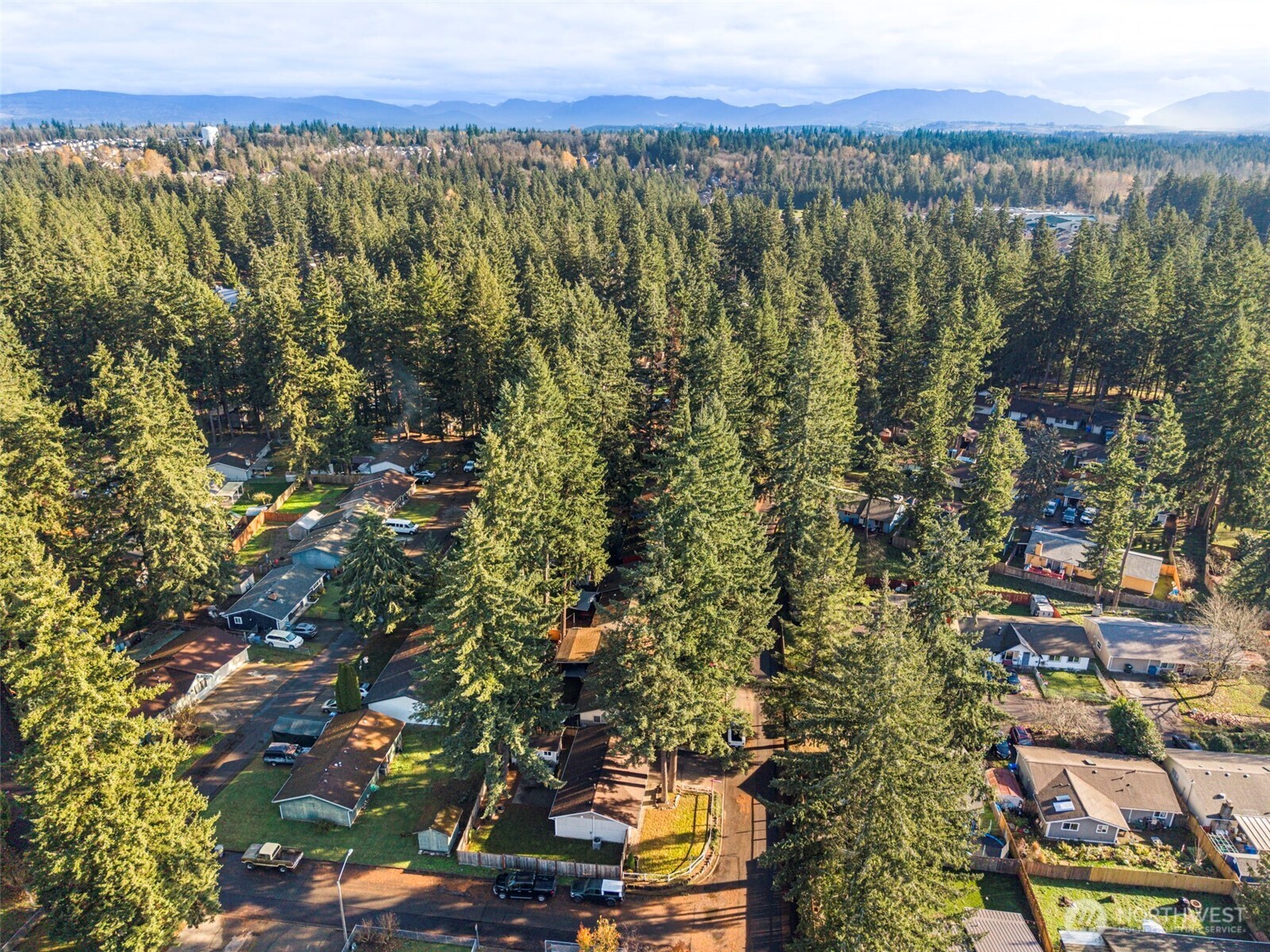 19006 Southeast 269th Street Covington, WA 98042 - Photo 32 of 32 a view of a city with lush green forest