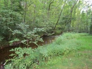 20200 Tamarack Road Howard City, MI 49329 - Photo 19 of 19 Additional Photo