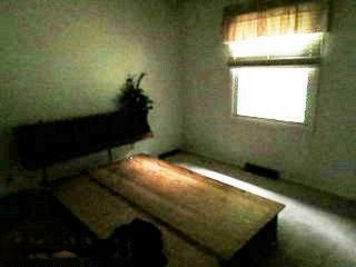 20200 Tamarack Road Howard City, MI 49329 - Photo 10 of 19 Additional Photo