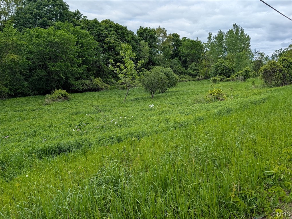 11 Us Route Watertown, NY 13601 - Photo 27 of 27 Gallery Image 27