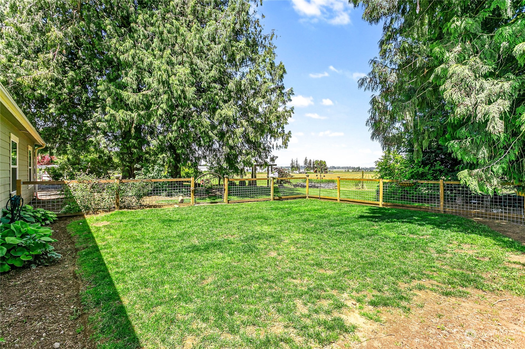 8338 Bob Hall Road Lynden, WA 98264 - Photo 27 of 37 a view of green field with trees in the background