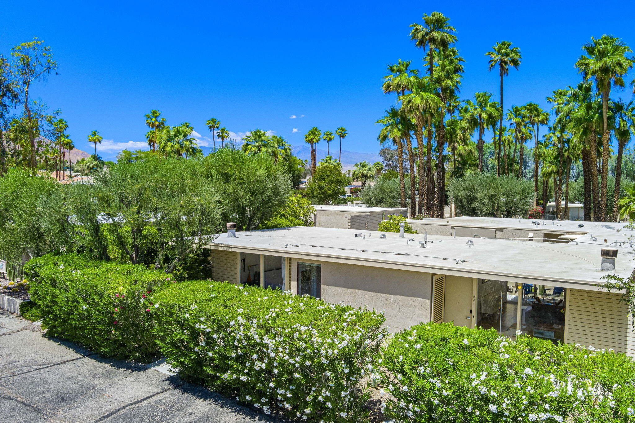 360 Cabrillo Road, Unit 227 Palm Springs, CA 92262 - Photo 3 of 32 2-web-or-mls-FECabrillo_OPMG_0525_002
