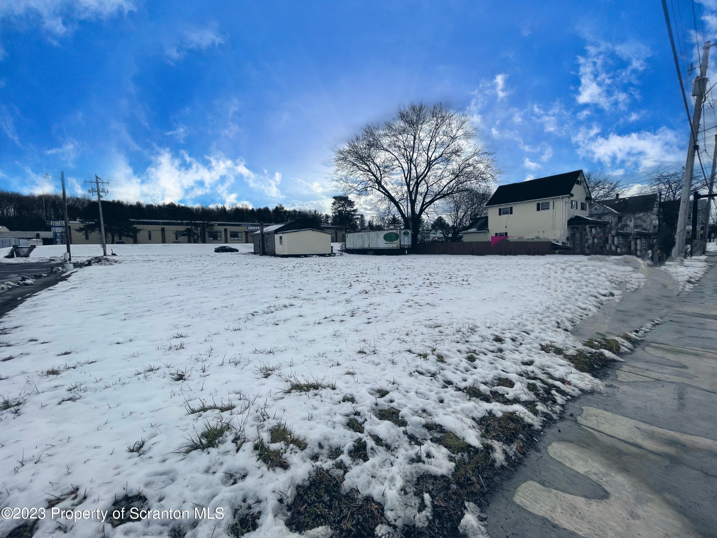 229 Main Street Archbald, PA 18403 - Photo 3 of 13 a view of dirt yard with a large tree
