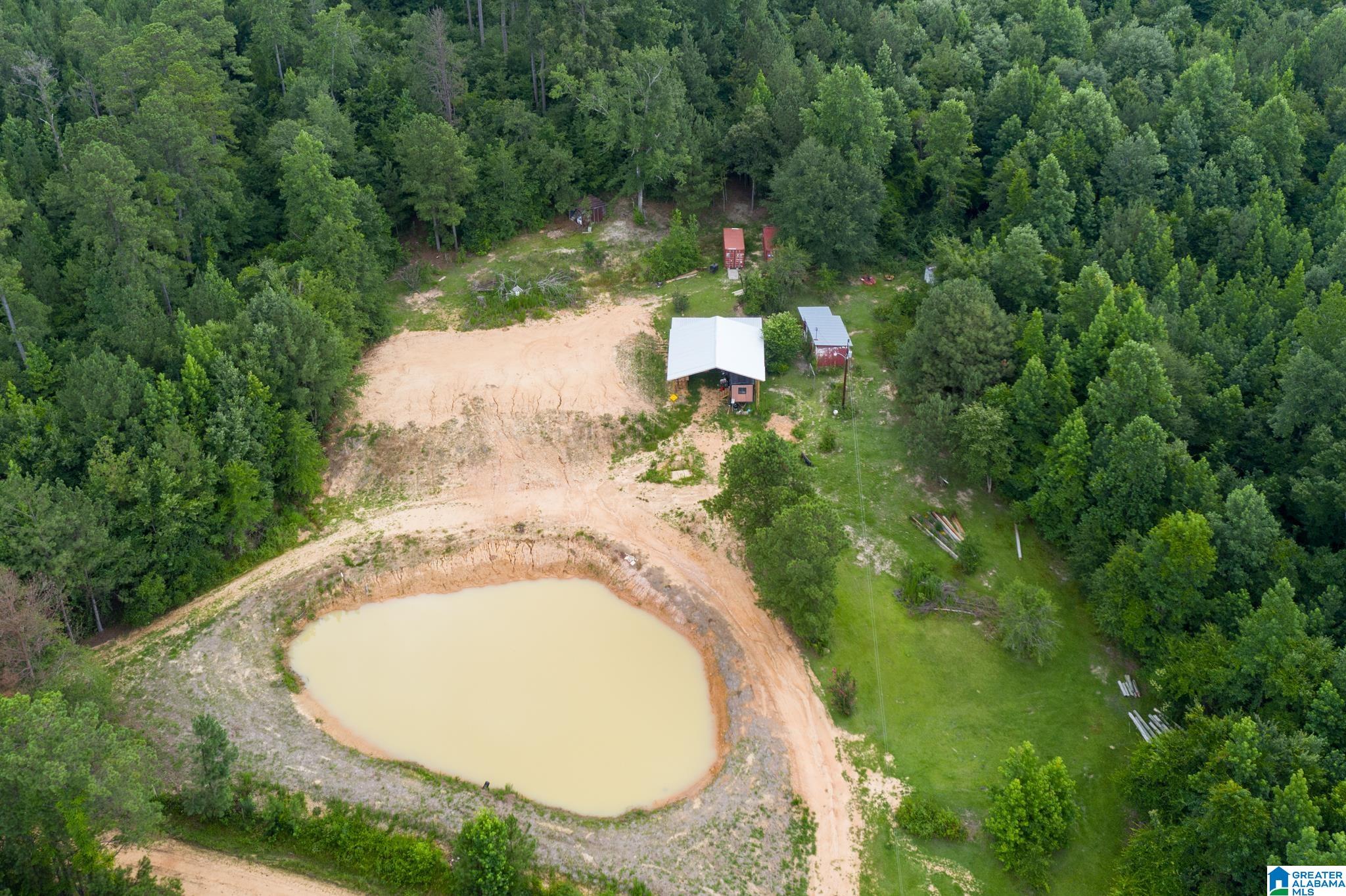 3025 Potato Patch Creek Road Marion, AL 36756 - Photo 3 of 24
