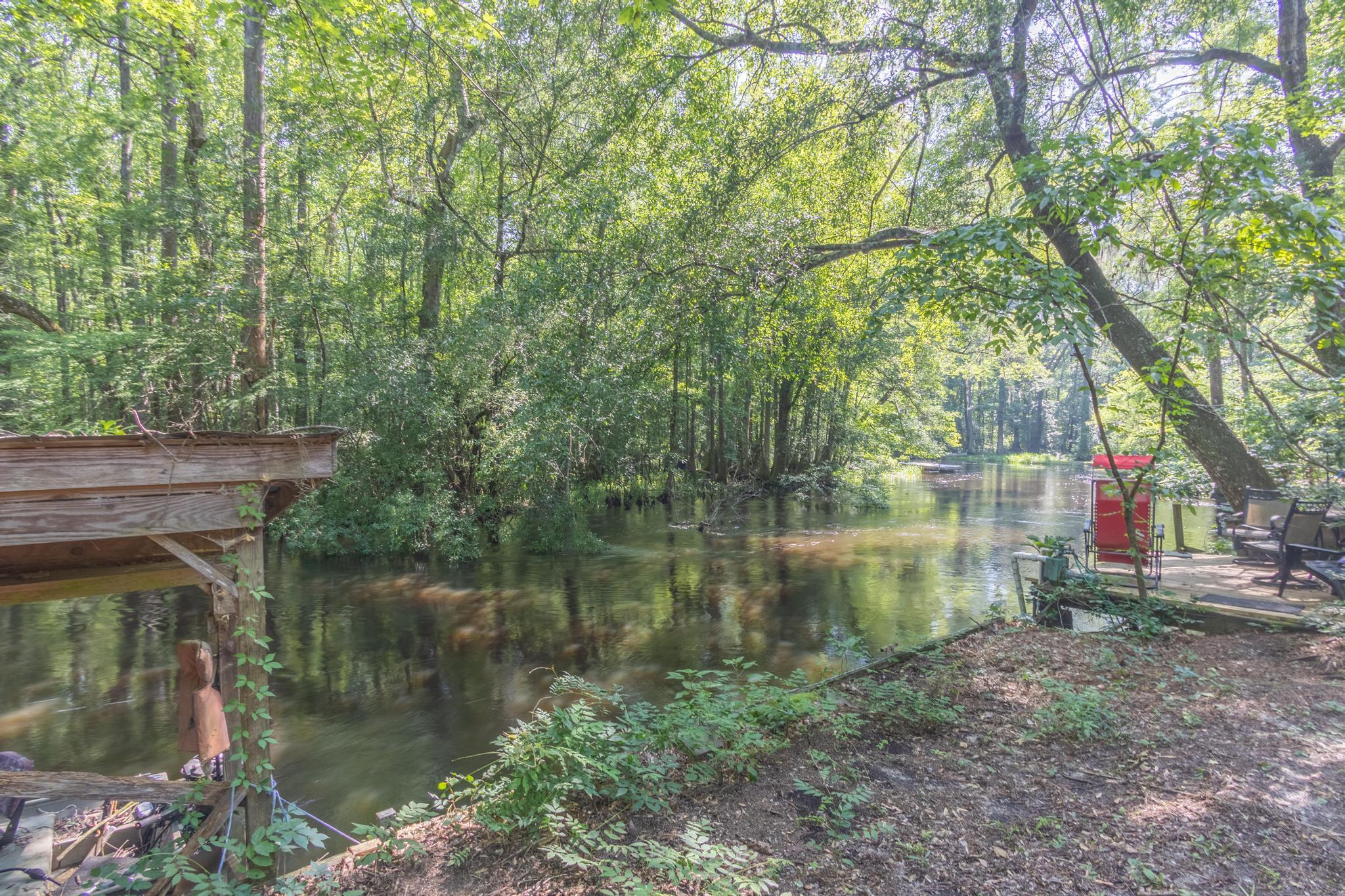 951 Shipes Bluff Road Blackville, SC 29817 - Photo 28 of 29