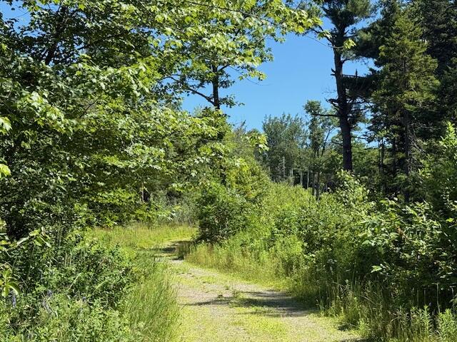 47 Tranquility Lane Perry, ME 04667 - Photo 52 of 82