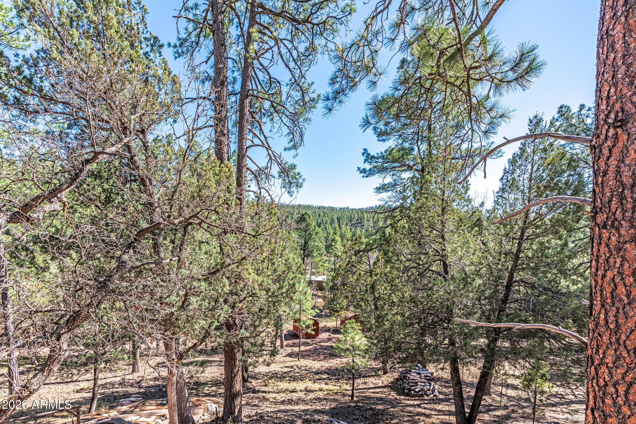 190 South Greystone Circle Payson, AZ 85541 - Photo 40 of 45 a view of fountain in middle of the forest