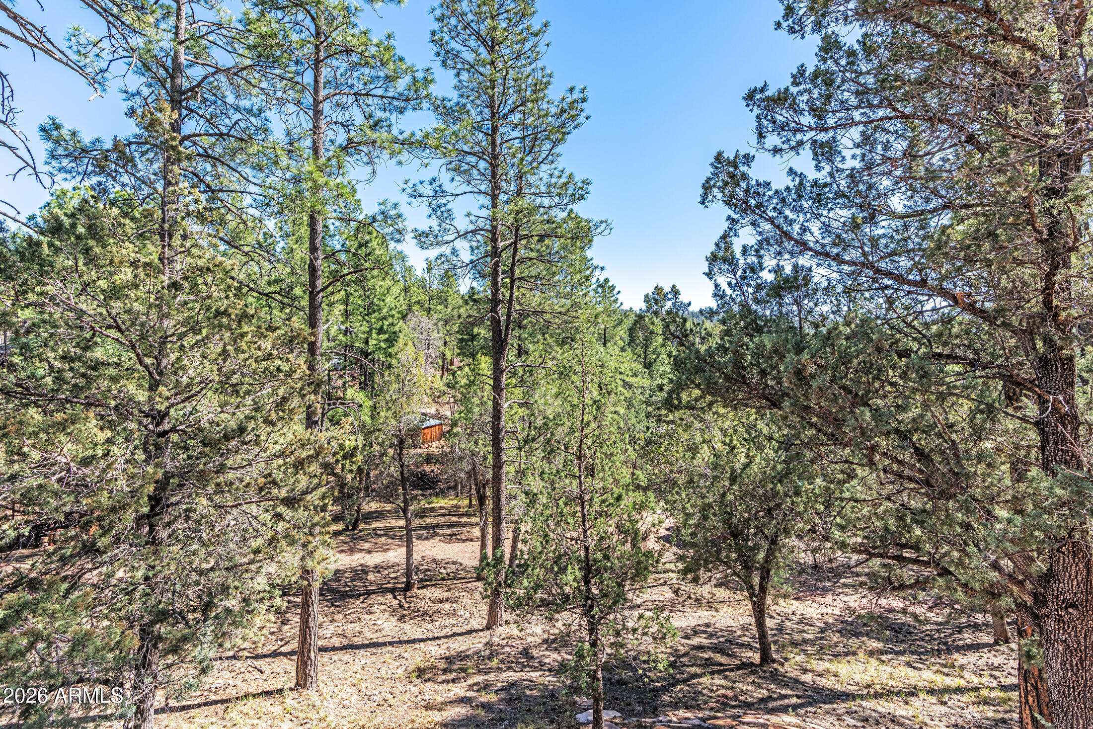 190 South Greystone Circle Payson, AZ 85541 - Photo 41 of 45 _DSC7435-HDR-Edit