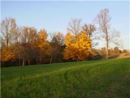 447 Ben Albert Road Cottontown, TN 37048 - Photo 2 of 8 Gallery Image 2