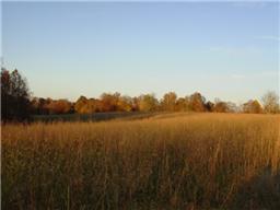 447 Ben Albert Road Cottontown, TN 37048 - Photo 3 of 8 Gallery Image 3