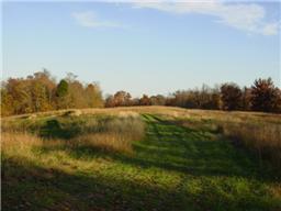 447 Ben Albert Road Cottontown, TN 37048 - Photo 5 of 8 Gallery Image 5