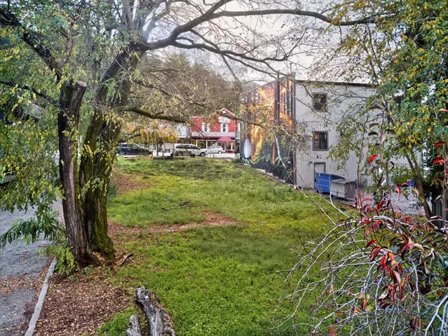 a view of a yard with plants and trees