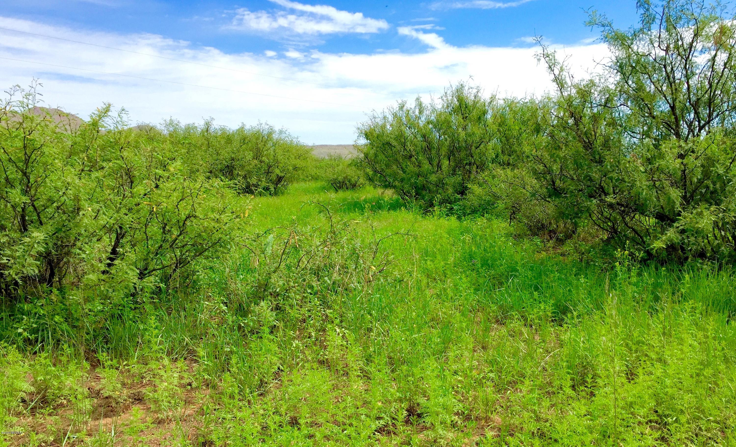 30-ac East Doe Ranch Road, Unit 56 Pearce, AZ 85625 - Photo 16 of 47