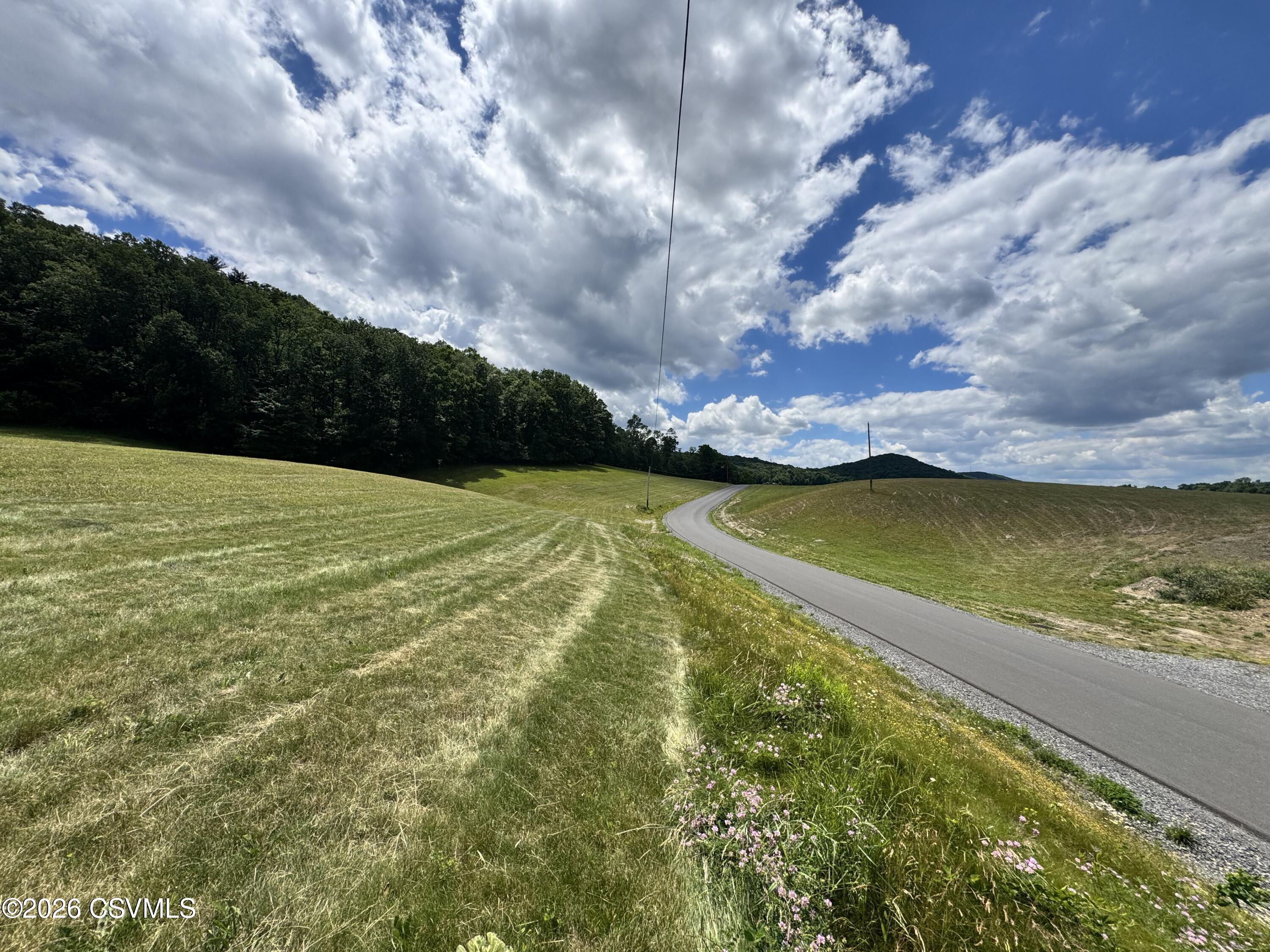 Lot #5 Old Reading Road Sunbury, PA 17801 - Photo 4 of 4