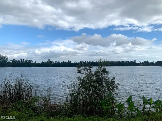 a view of a lake from a yard