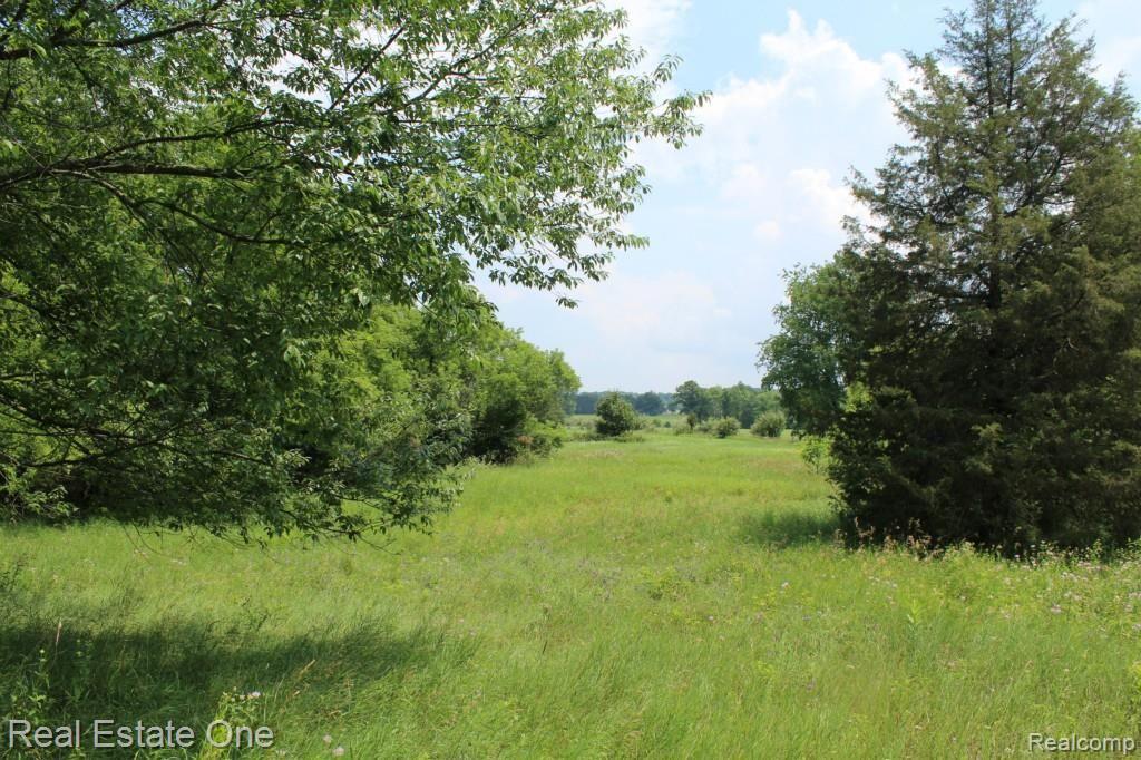 0 East Rowe Road Highland, MI 48357 - Photo 5 of 5
