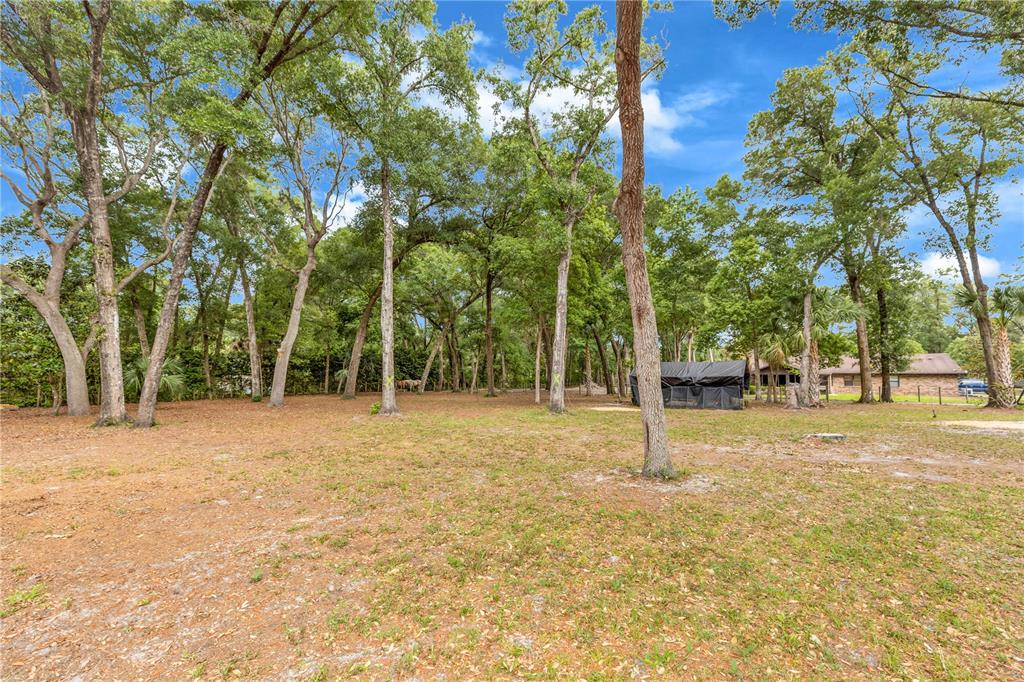721 McGregor Road DeLand, FL 32720 - Photo 45 of 53