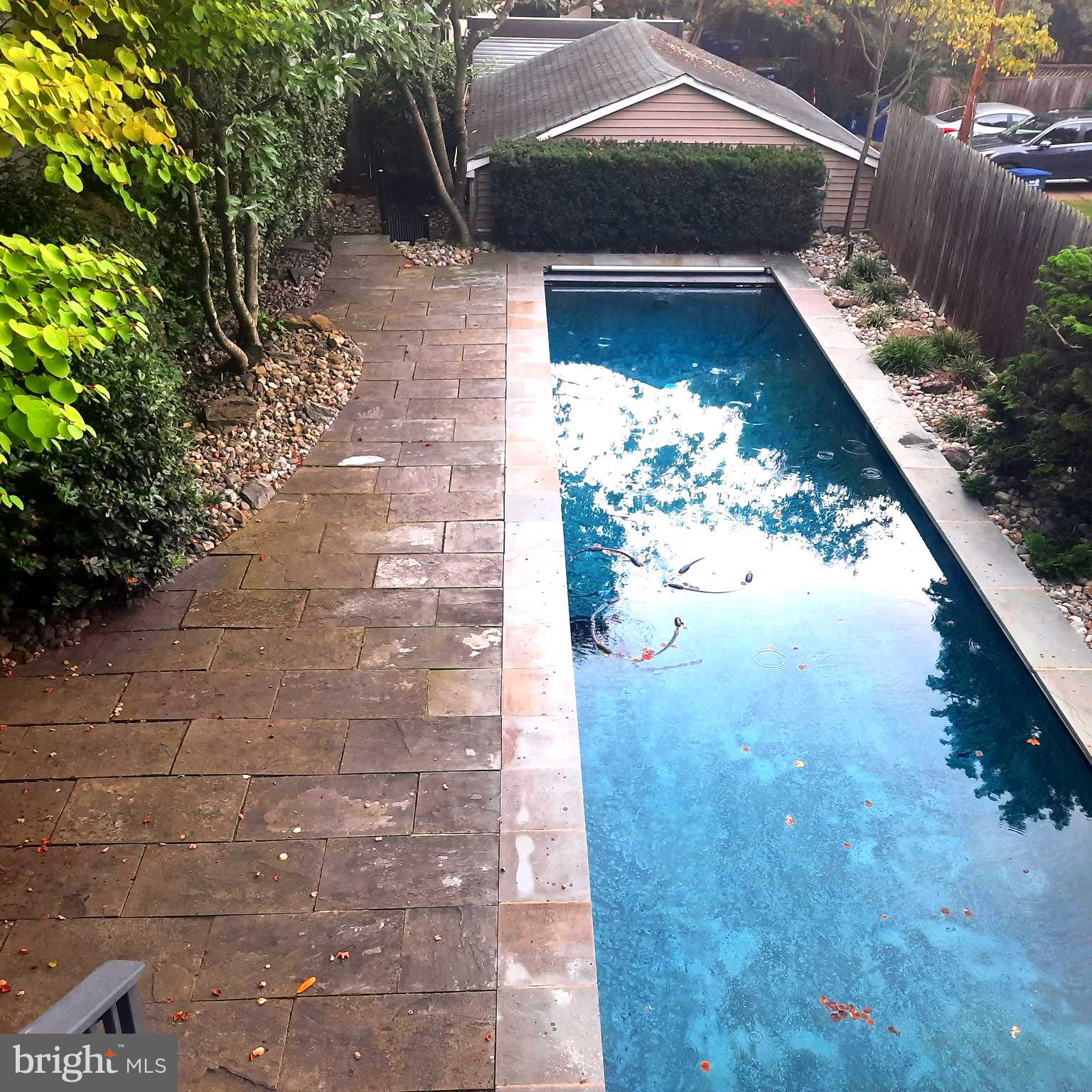 2818 38th Street Northwest Washington, DC 20007 - Photo 36 of 43 Lap pool w/ electric pool cover & new pool equip